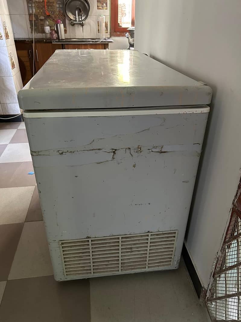 Pel D Freezer 7