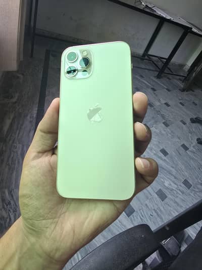 Apple iPhone 12 Pro dual pta