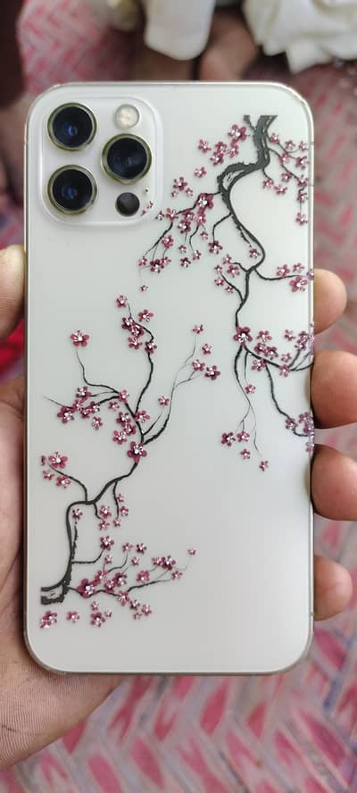 Apple iPhone 12 Pro