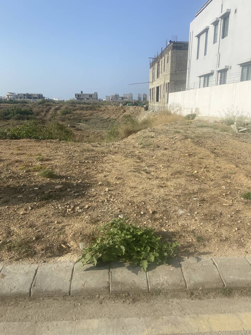Prime Residential Plot Opportunity - 1000 sq. yard level plot - Plot 2