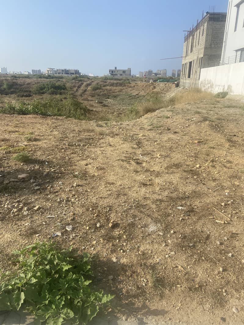 Prime Residential Plot Opportunity - 1000 sq. yard level plot - Plot 3