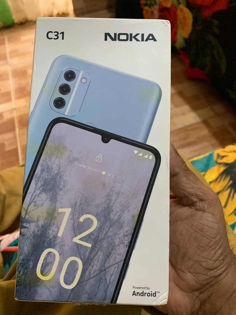 Nokia C31 2