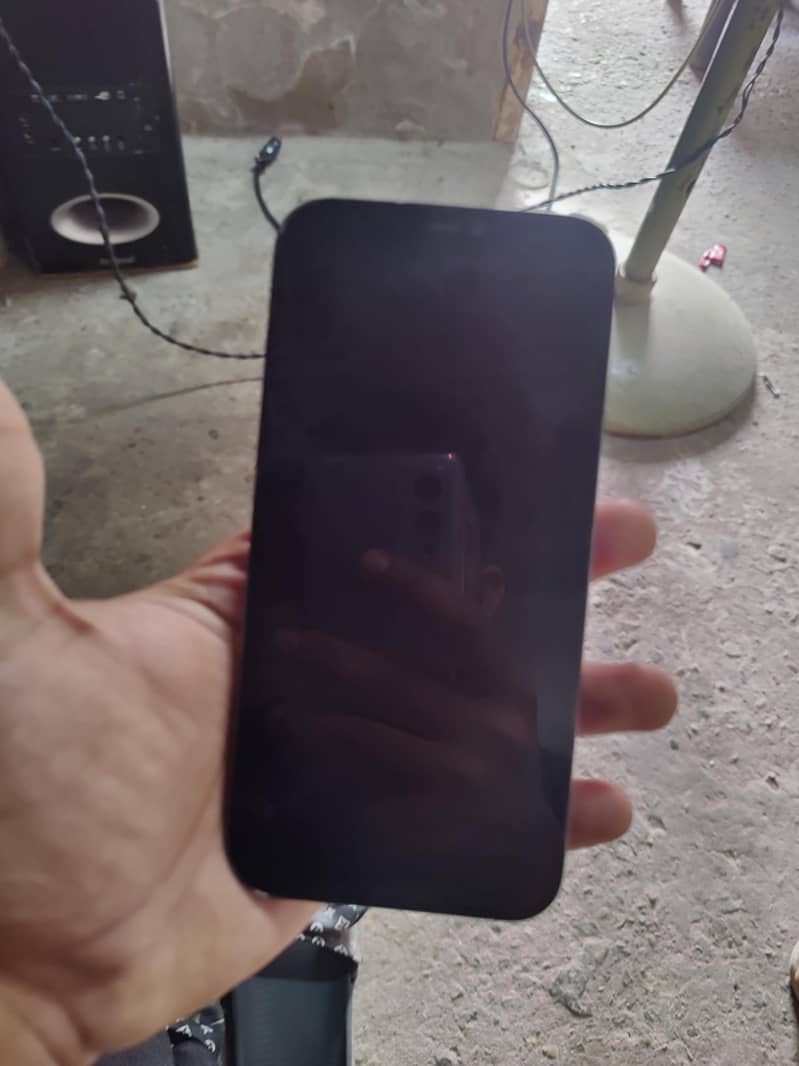 Apple iPhone 12 Pro Max 1