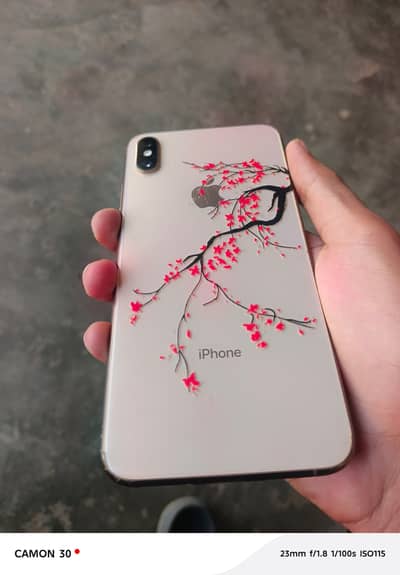 Apple iPhone XS Max