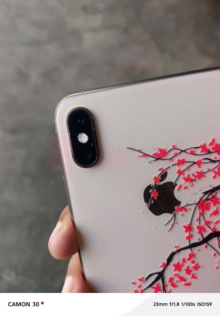 Apple iPhone XS Max 1