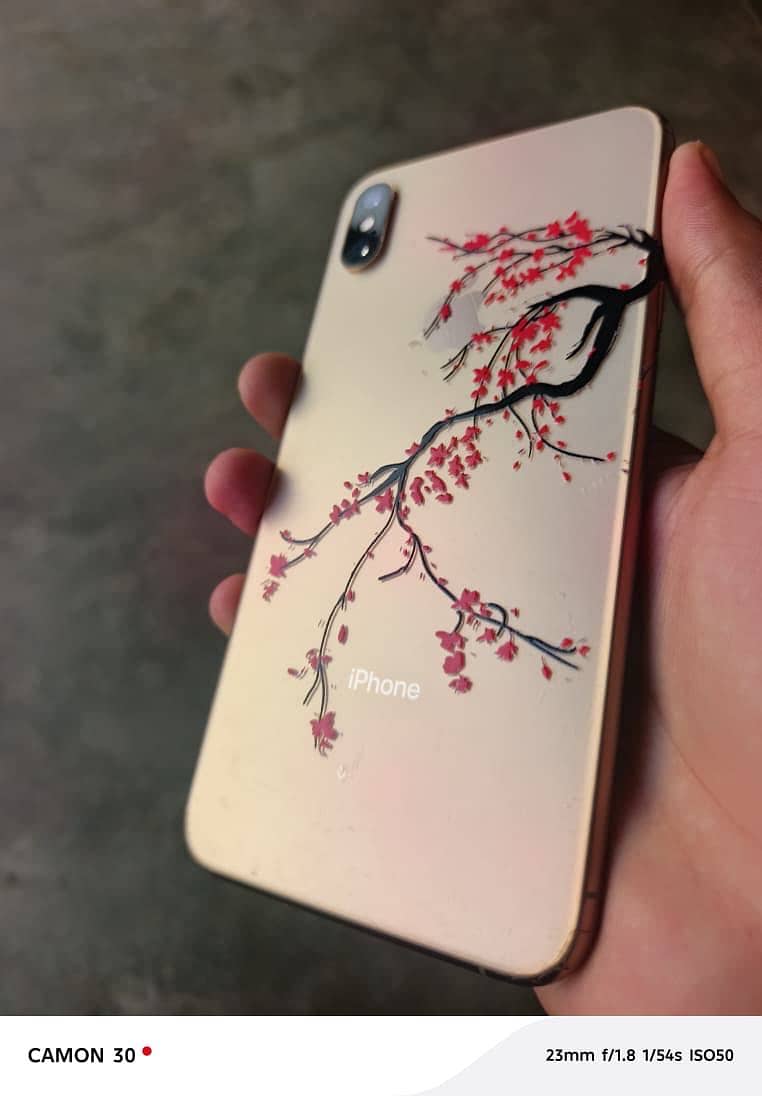 Apple iPhone XS Max 11