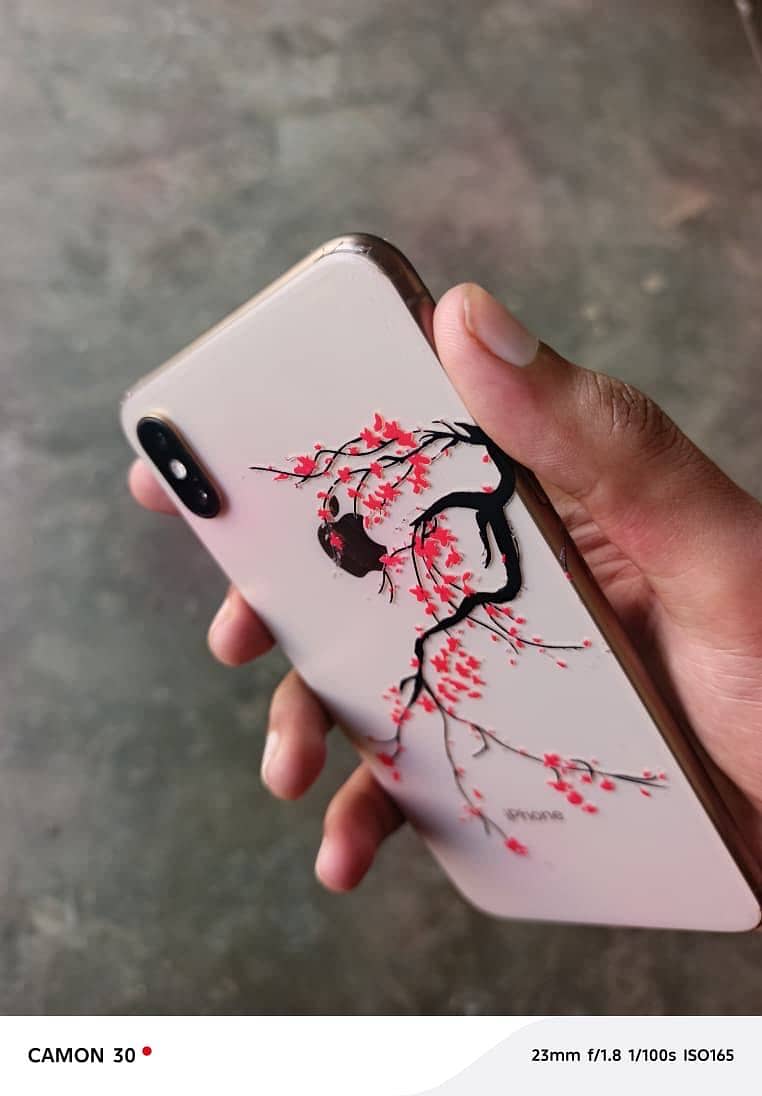 Apple iPhone XS Max 14