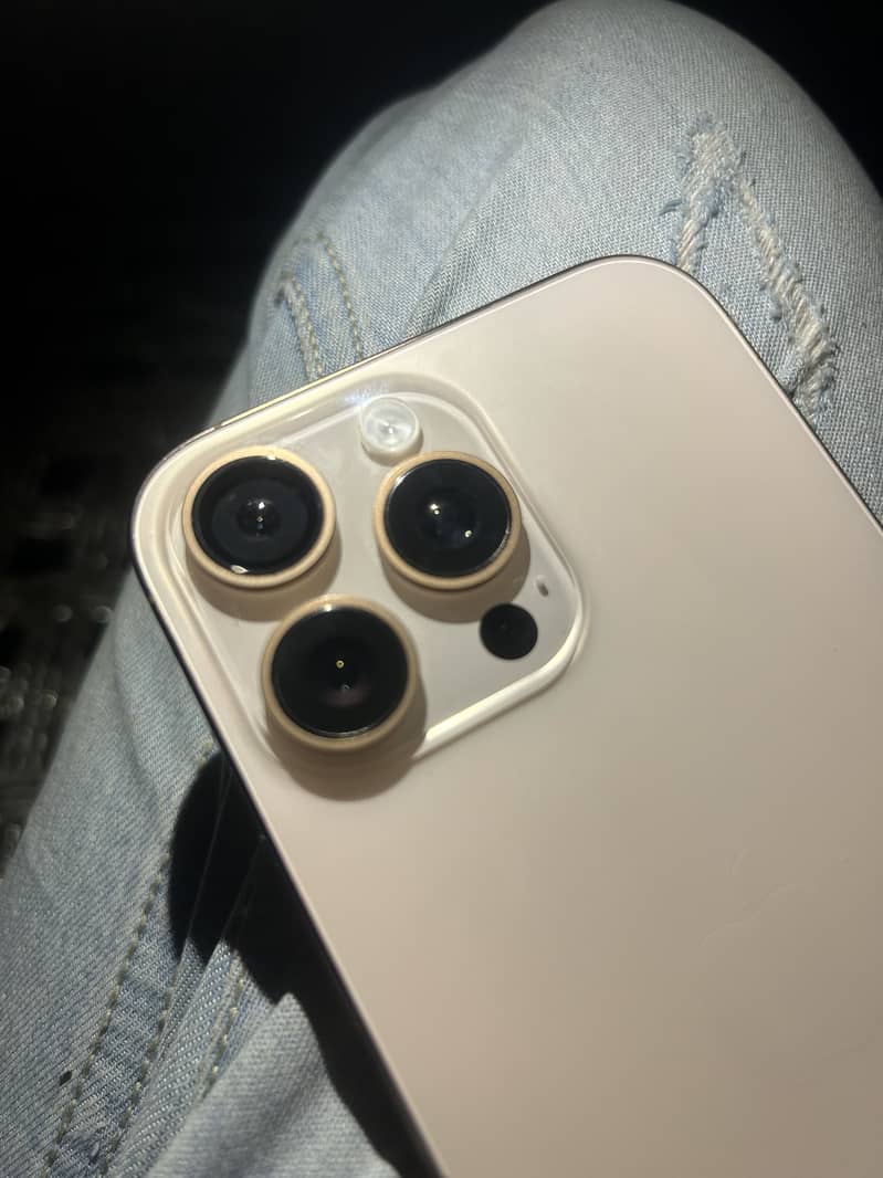 Apple iPhone 16 Pro Max 1