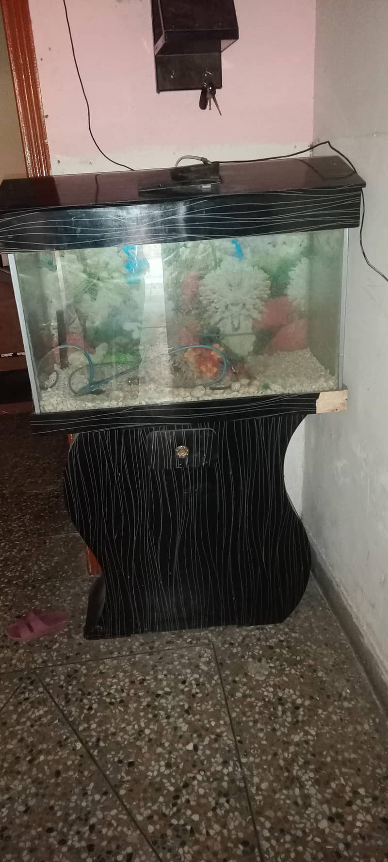 Fish Aquarium 2