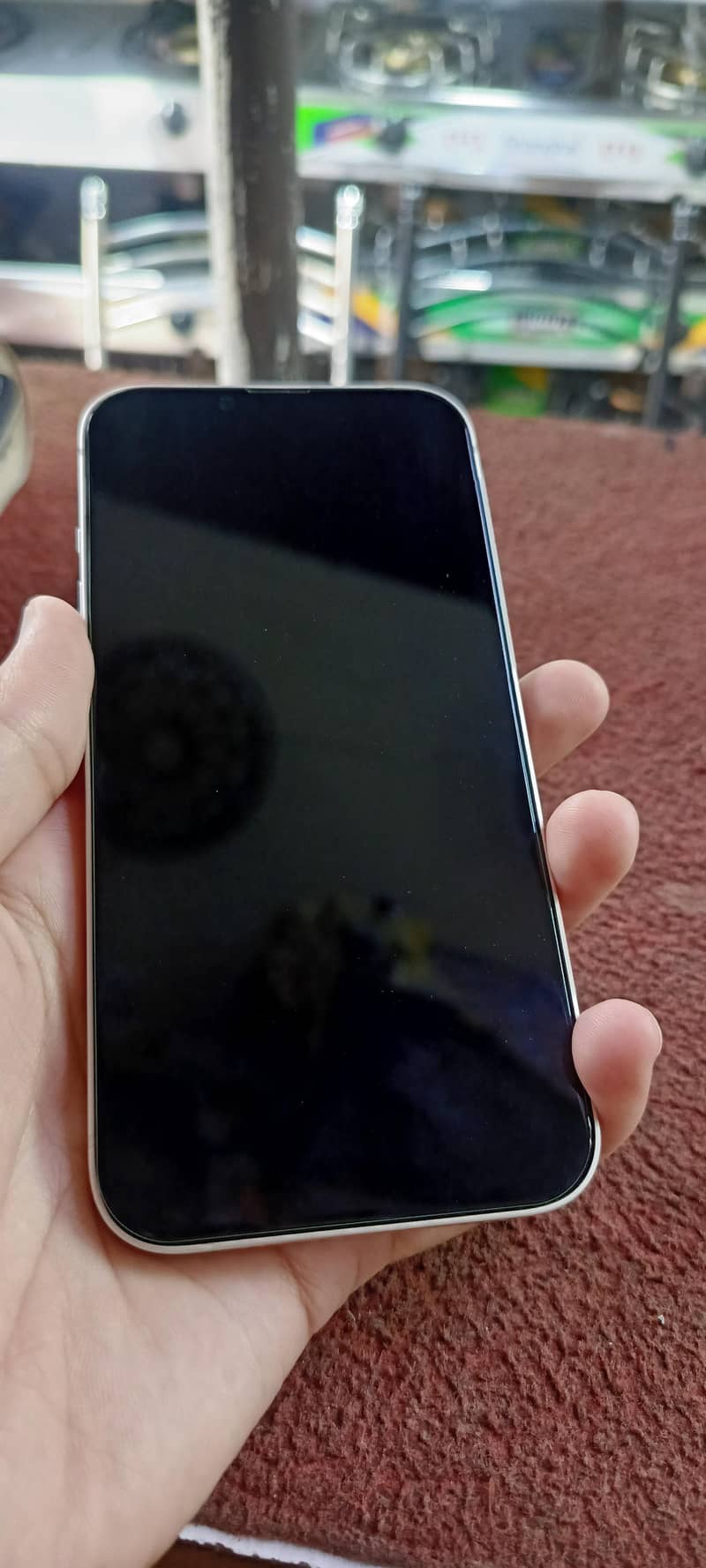 Apple iPhone 13 0