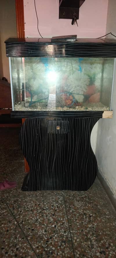 Fish Aquarium