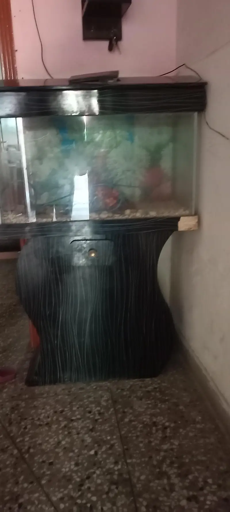 Fish Aquarium — photo 2