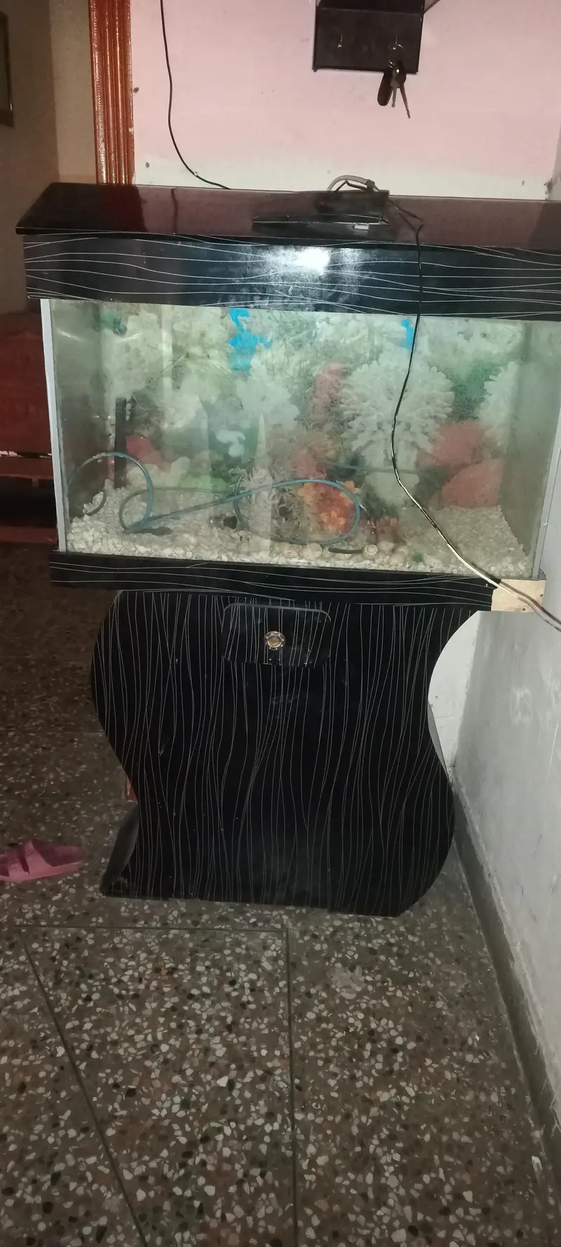 Fish Aquarium — photo 4