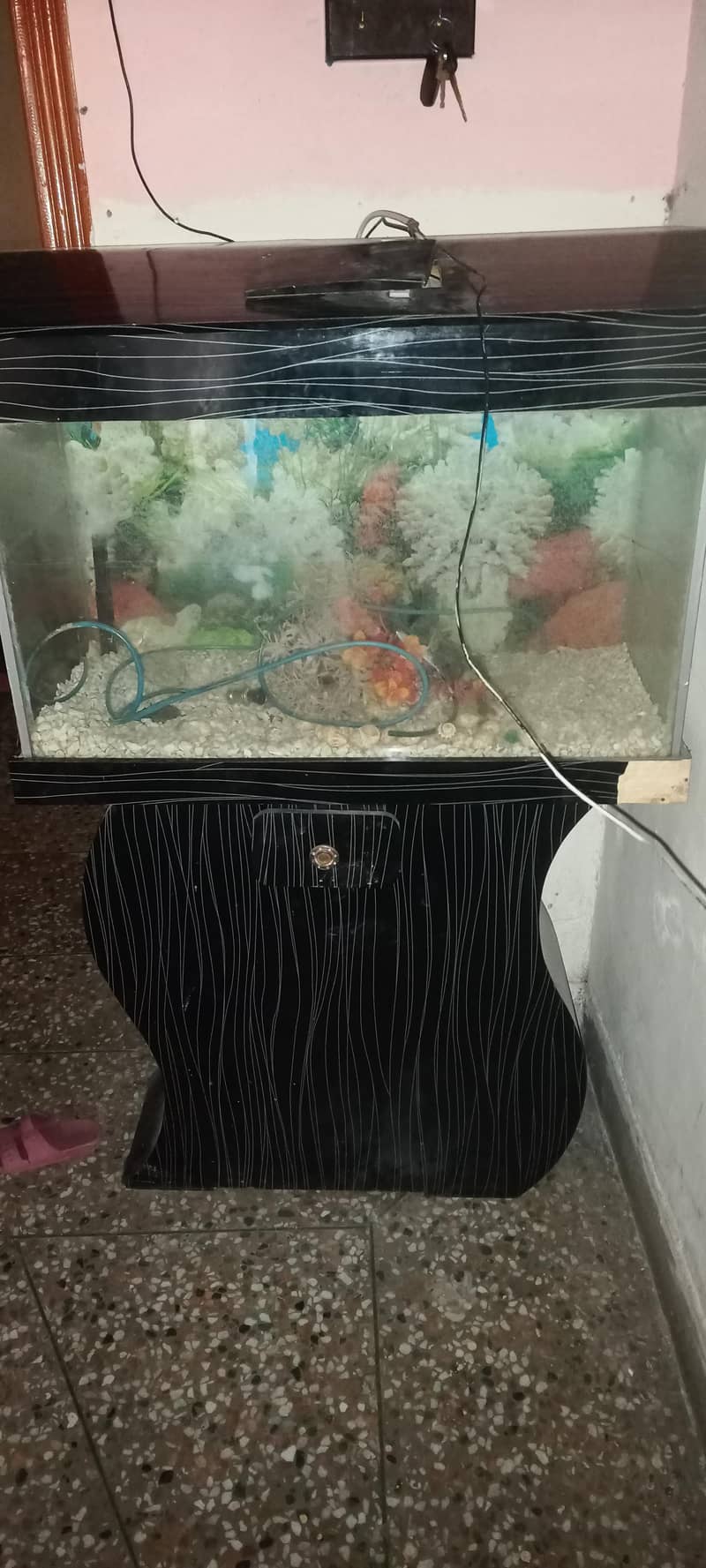Fish Aquarium 4