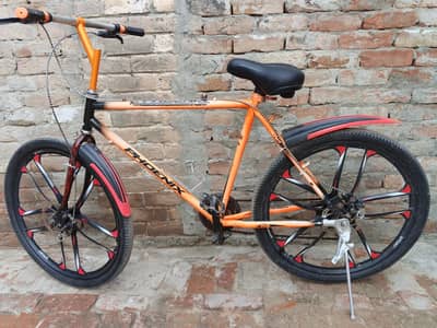 Phoenix Bycle Disc Brake, Aluminum Alloys Wheels