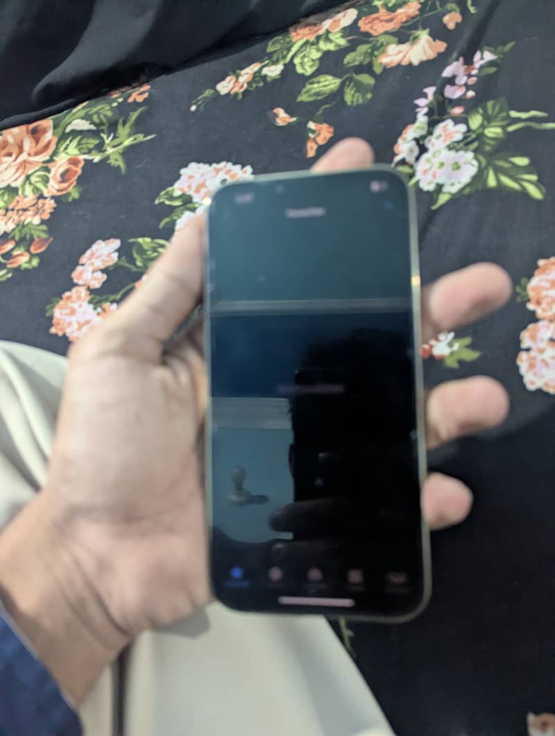 Apple iPhone 13 Pro Max 2