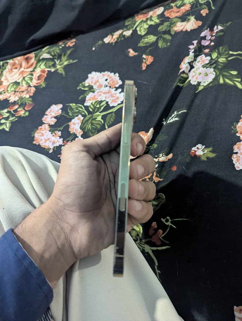 Apple iPhone 13 Pro Max 7