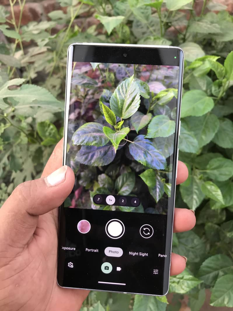 Google Pixel 6 Pro exchange posebe 12