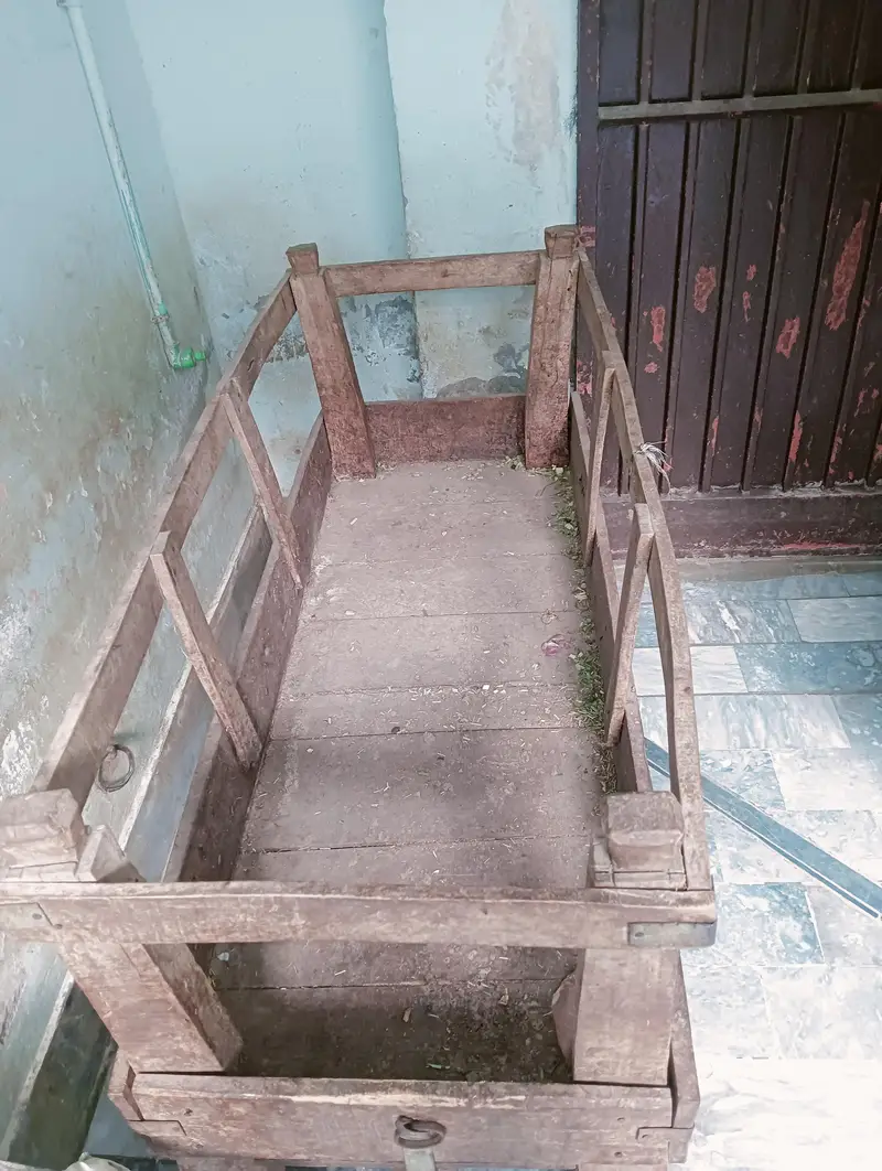 goat khurli — photo 2