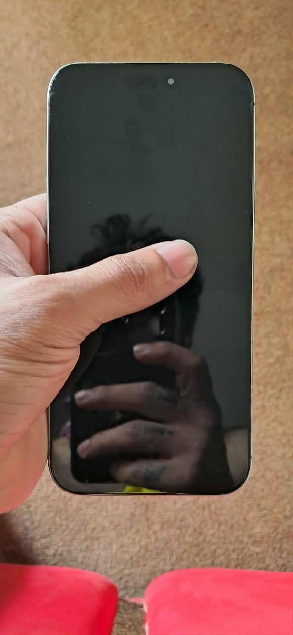 Apple iPhone 16 Pro Max 1