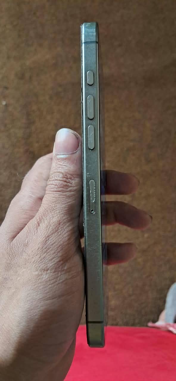 Apple iPhone 16 Pro Max 4