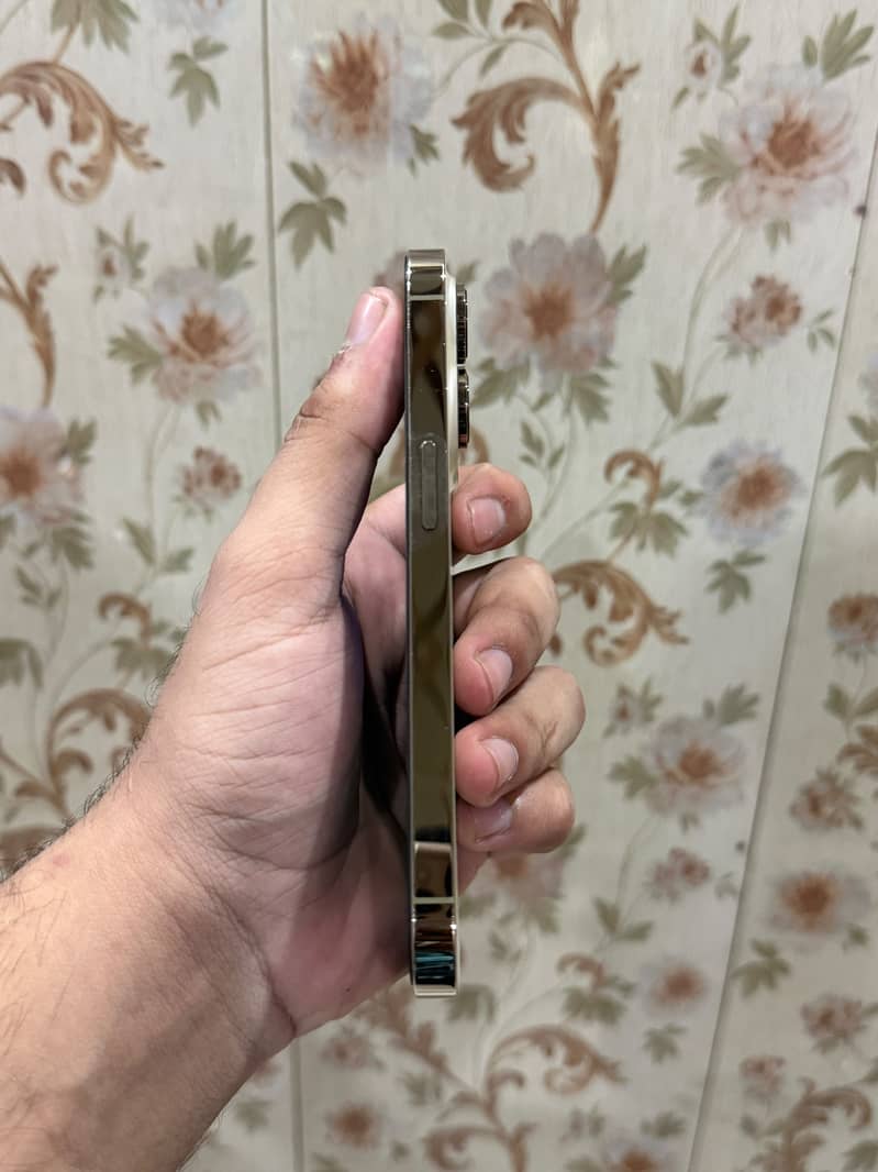 Apple iPhone 14 Pro 0