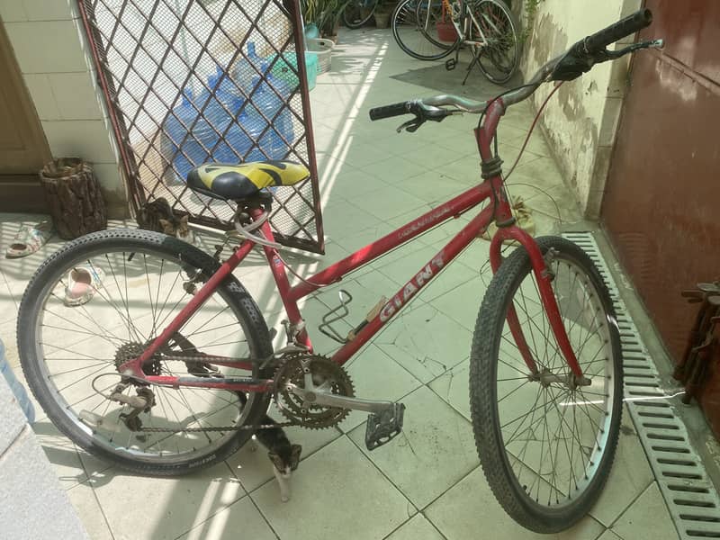 Giant 0