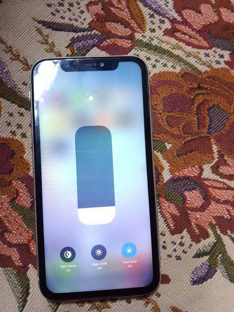 Apple iPhone 11 2
