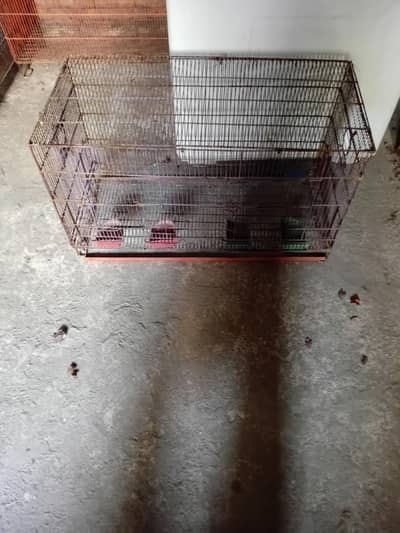 Cage pinjra