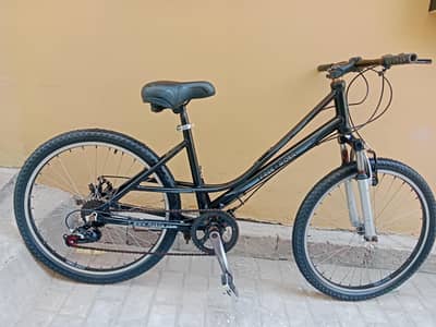 American cycle 24 inch h size
