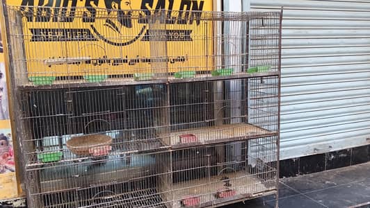 pinjra for sale
