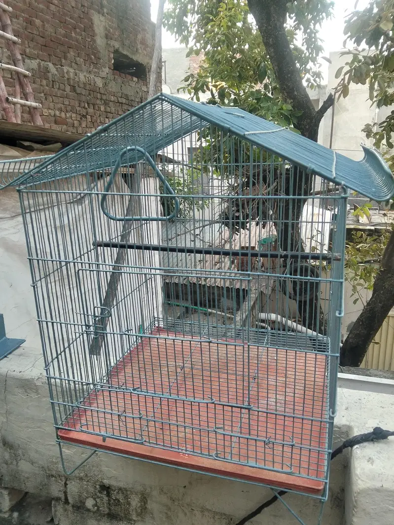 cages for sale 3 — photo 2
