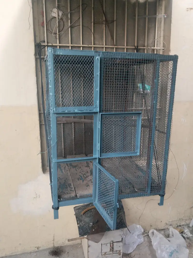 cages for sale 3 — photo 5