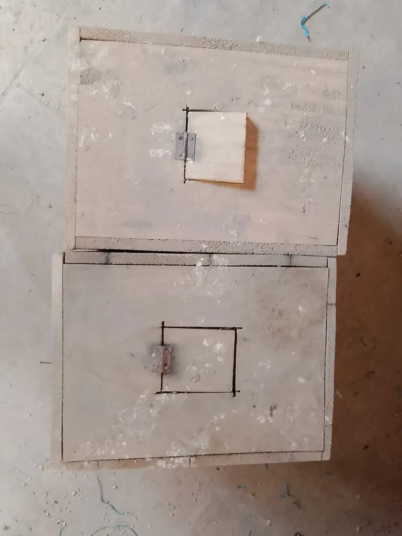 love bird breading box avilable — photo 7