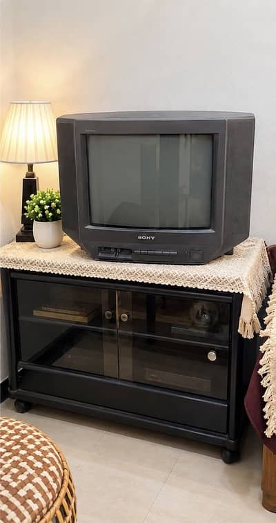 Sony 14” CRT TV with TV Stand/Cabinet