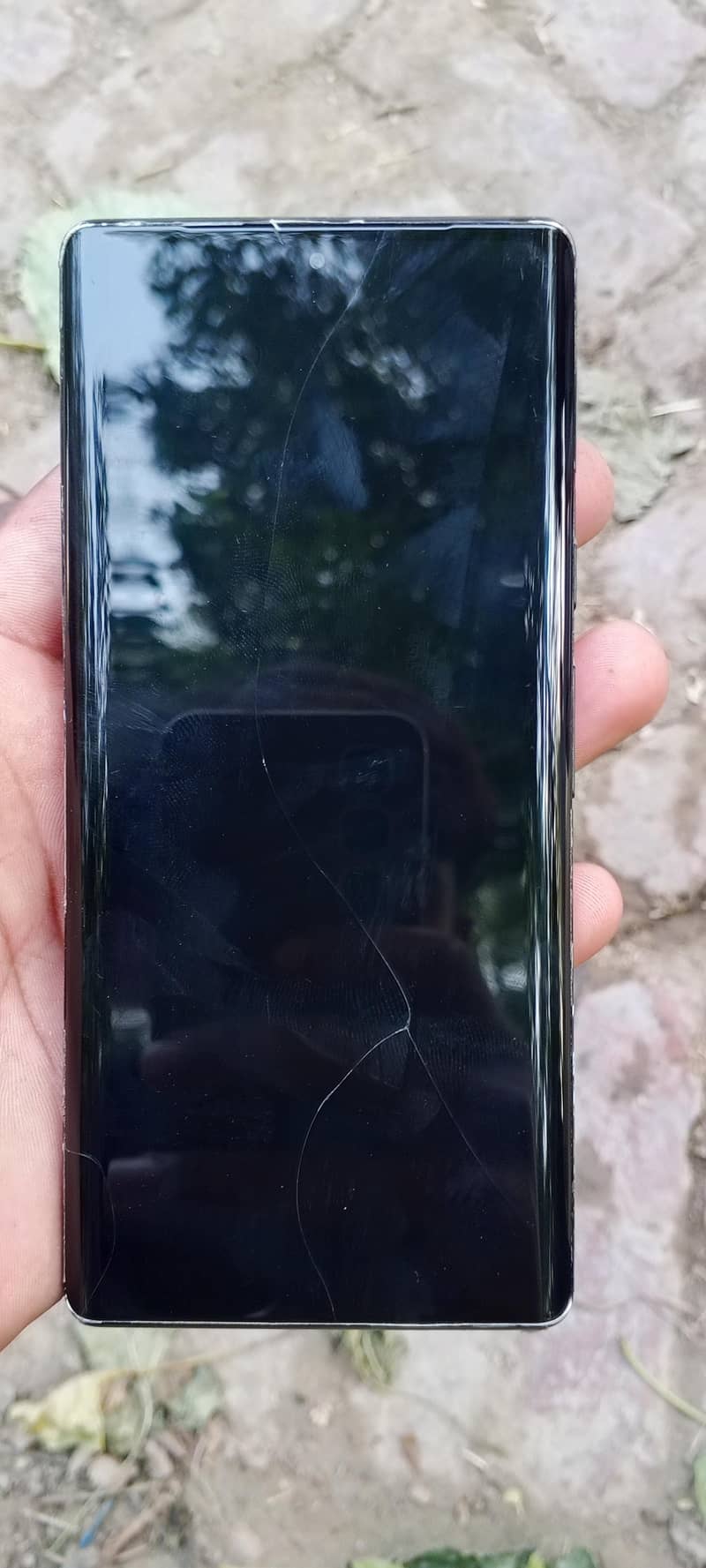 Google Pixel 6 Pro 2