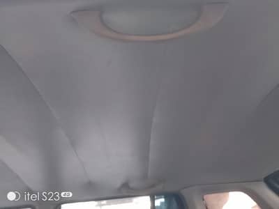 Suzuki cultus