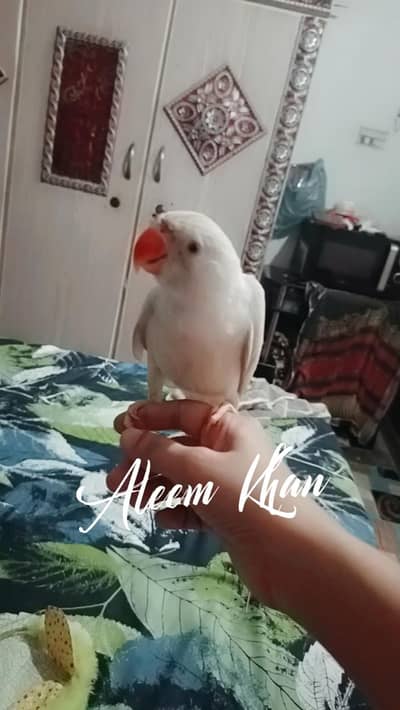. . . . . . . . .
