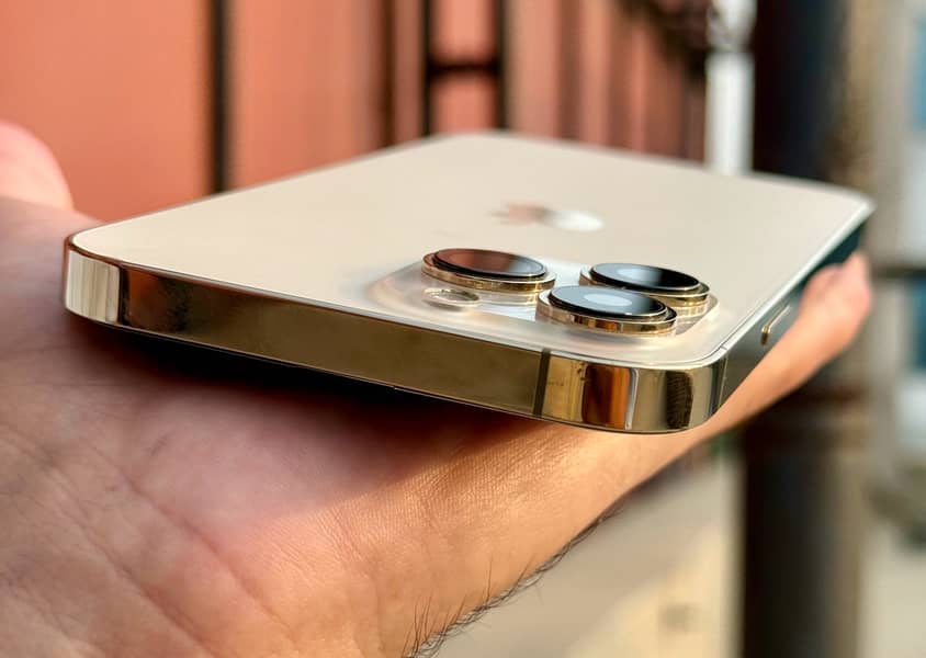Apple iPhone 13 Pro Max 2