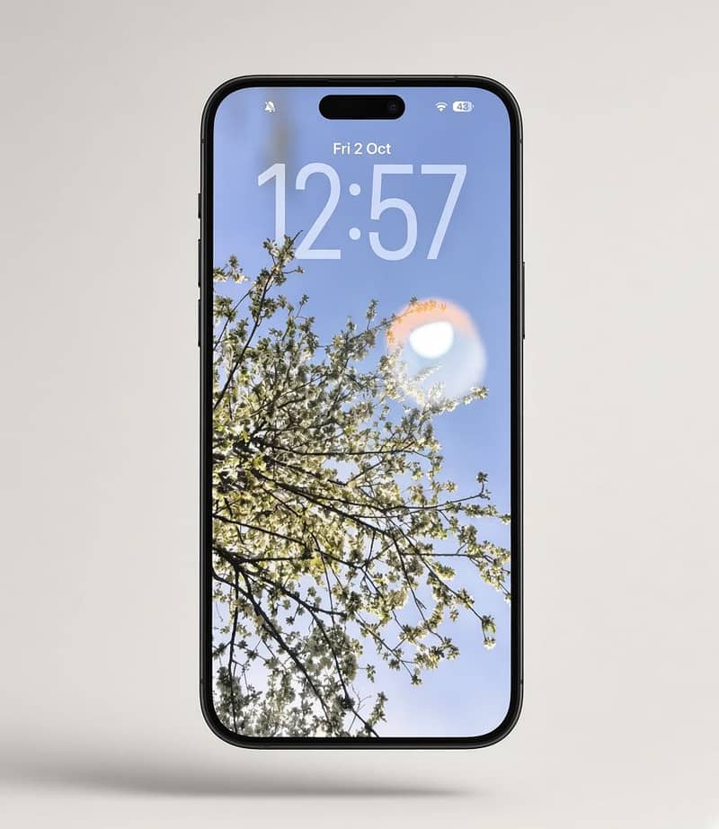 Apple iPhone 16 1