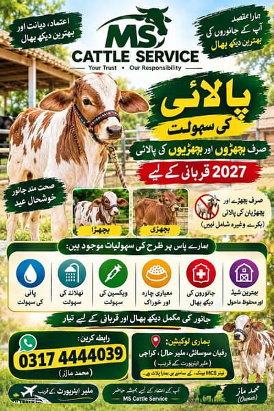 contact on whatsapp :   0317 ||  2440039
