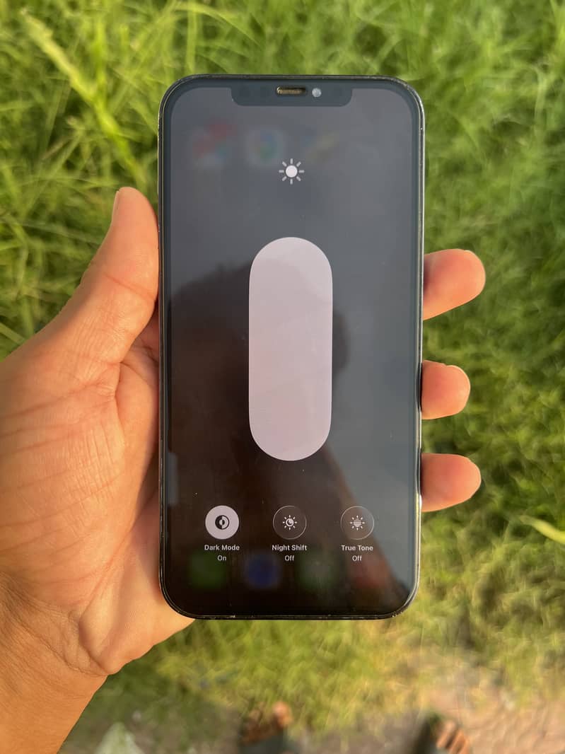 Apple iPhone 12 Pro Max 1