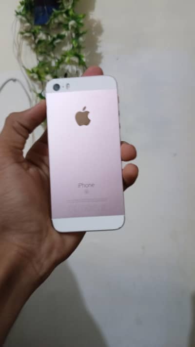 iphone SE