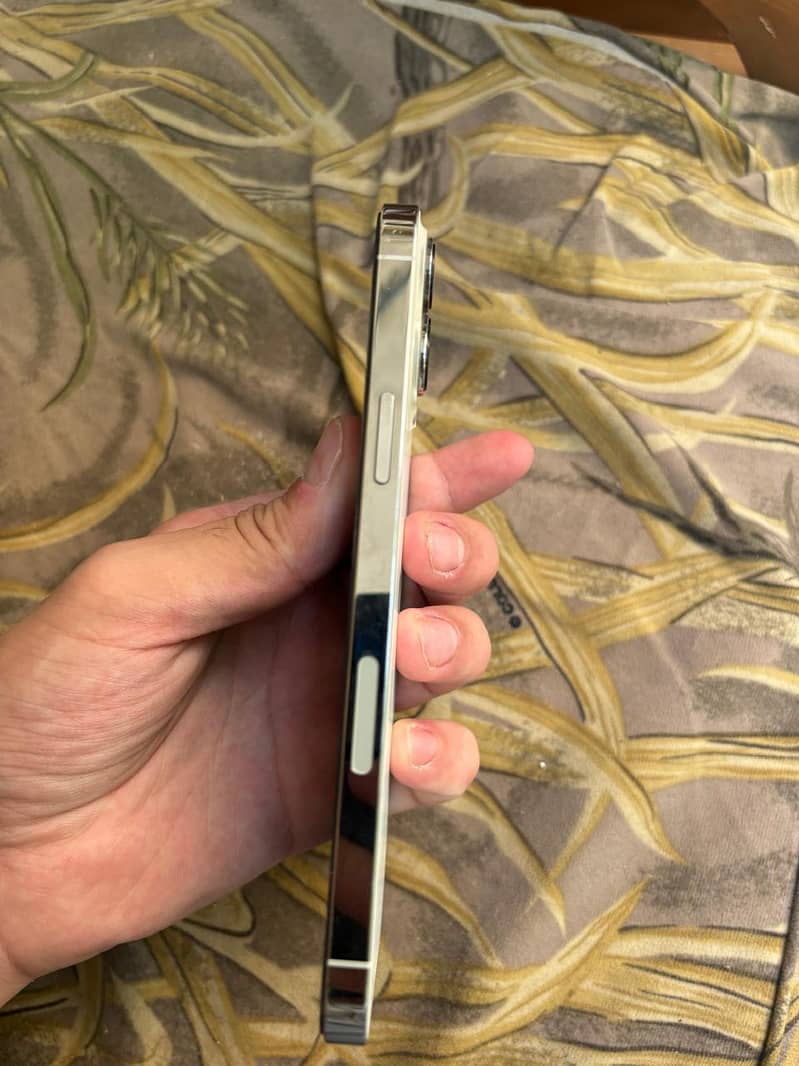 Apple iPhone 13 Pro Max 3