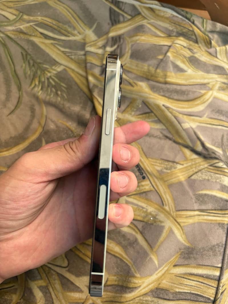 Apple iPhone 13 Pro Max 4