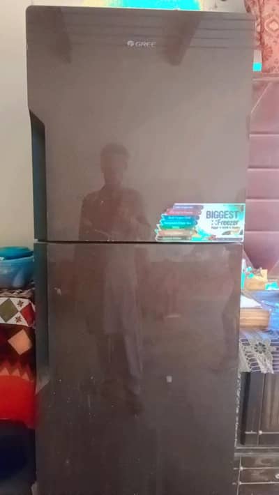 Jumbo size Refrigerator