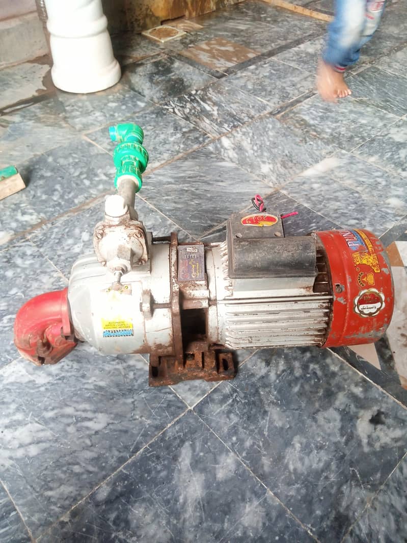 Dubble Ampelar Pump 6