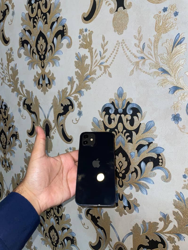 Apple iPhone 12 0