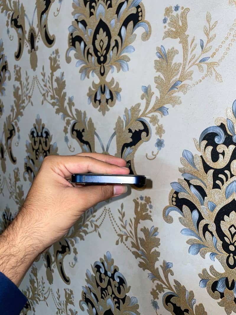 Apple iPhone 12 1