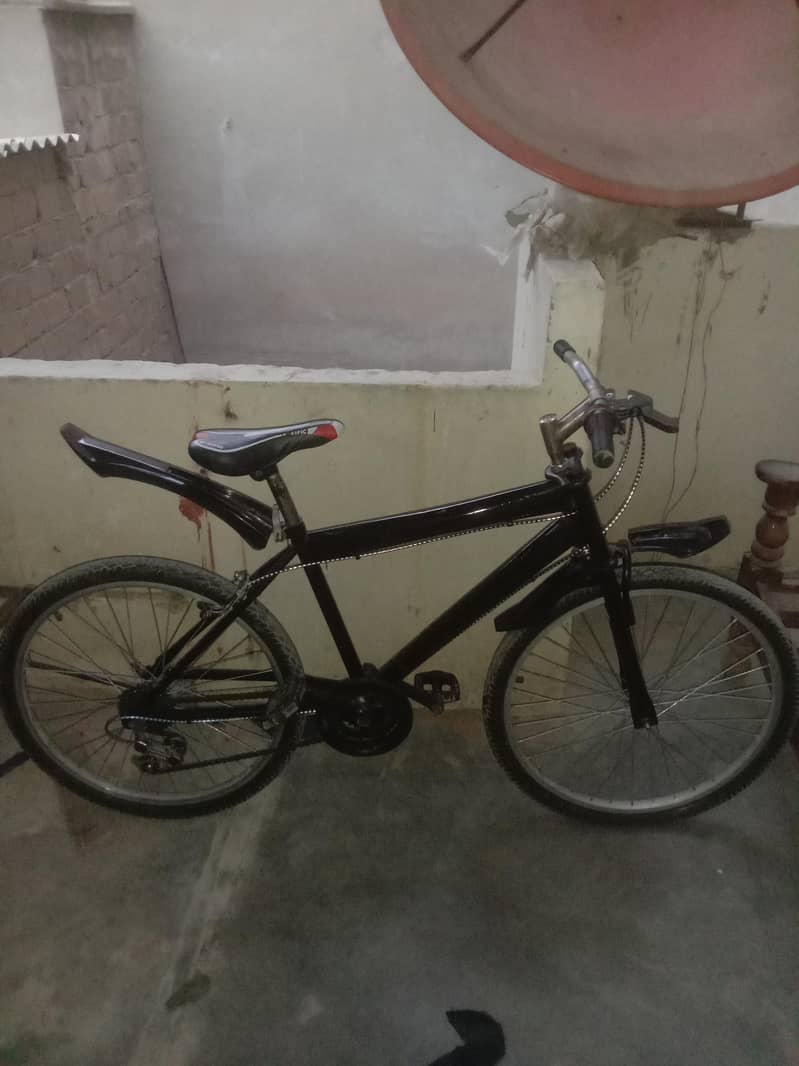 bicycle 2